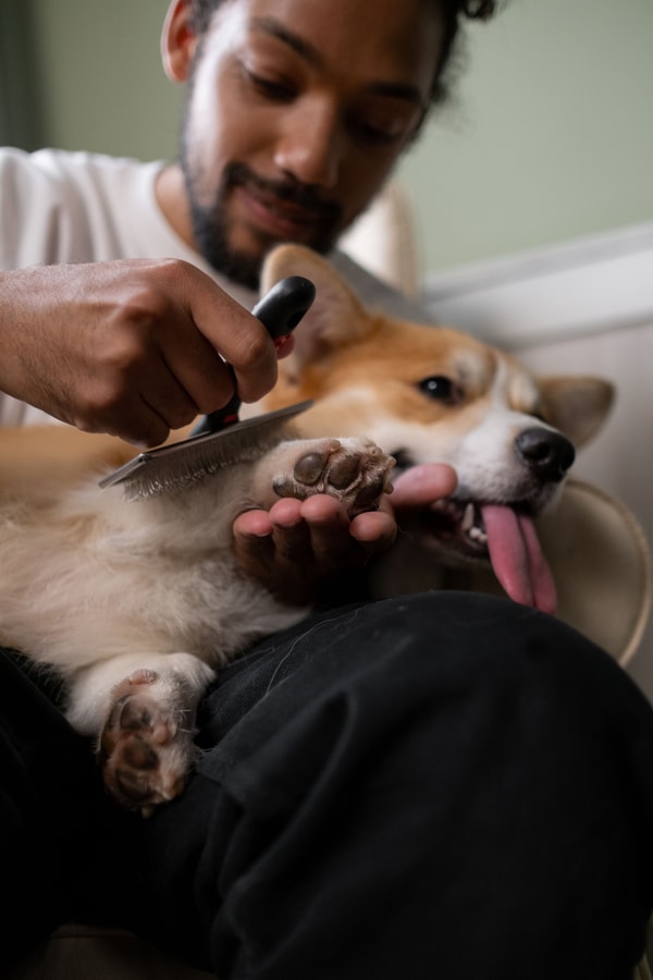 DrPetcare.de Bewertung