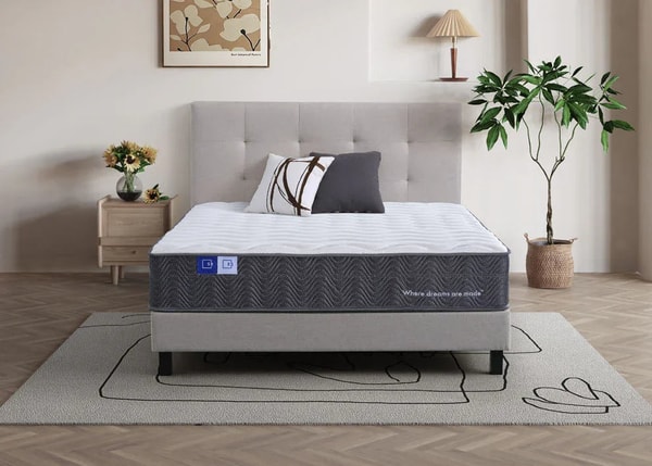 About Sleep Republic