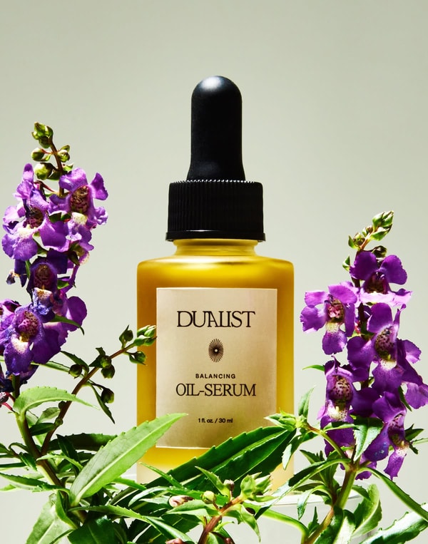 Overview of Dualist
