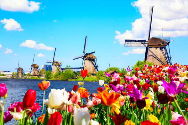 Over Dutch Private Tours