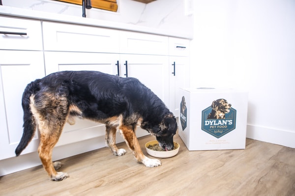 About Dylan's Pet Food