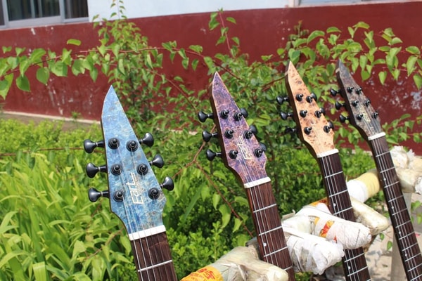 About EART guitar