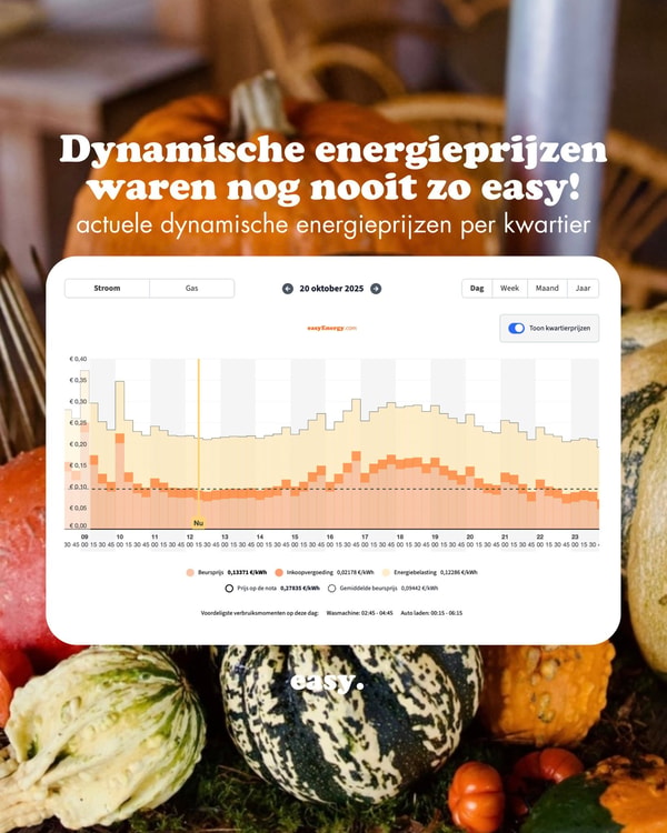 easyEnergy Dynamisch energiecontract Beoordeling