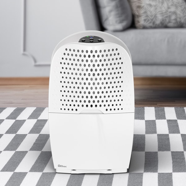 Ebac 4850 Dehumidifier Review