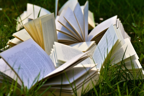 eCampus Buy Cheap Textbooks Rese&ntilde;a