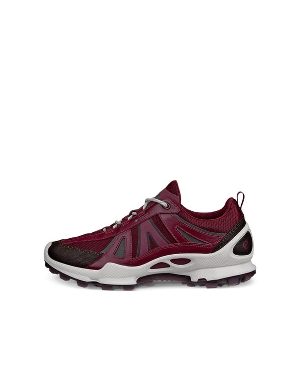 ECCO Shoes Biom C-Trail Review