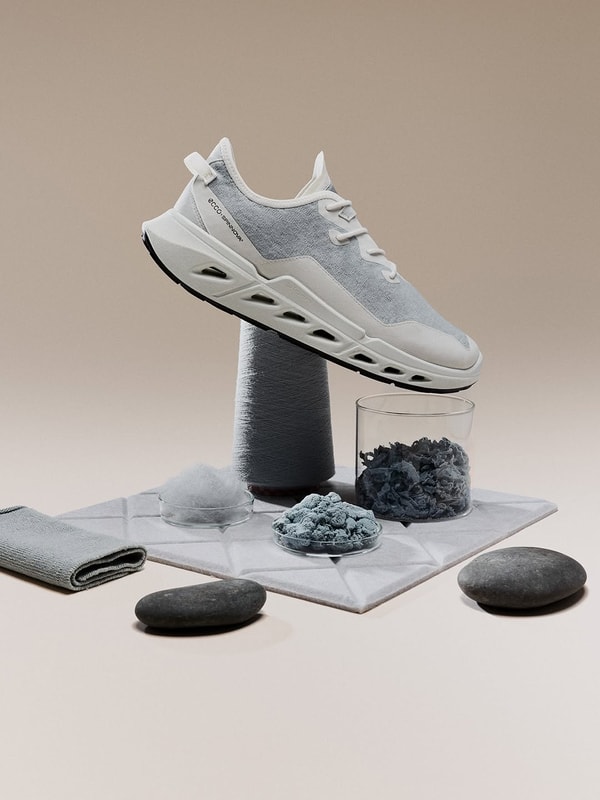 &Uuml;ber Ecco Shoes