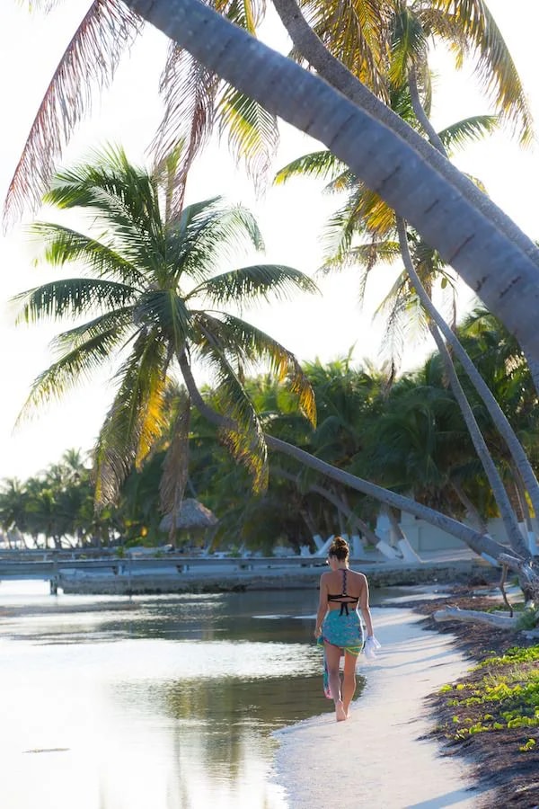 ECI Development Belize Review