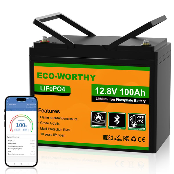 ECO-WORTHY 12V 100Ah LiFePO4 Batterie Bewertung