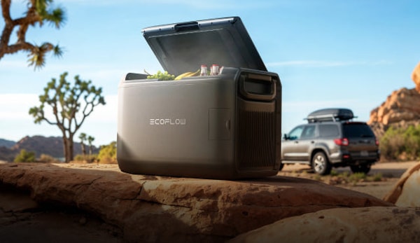 EcoFlow Review