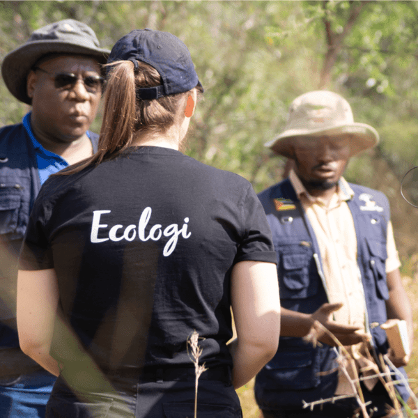 About Ecologi