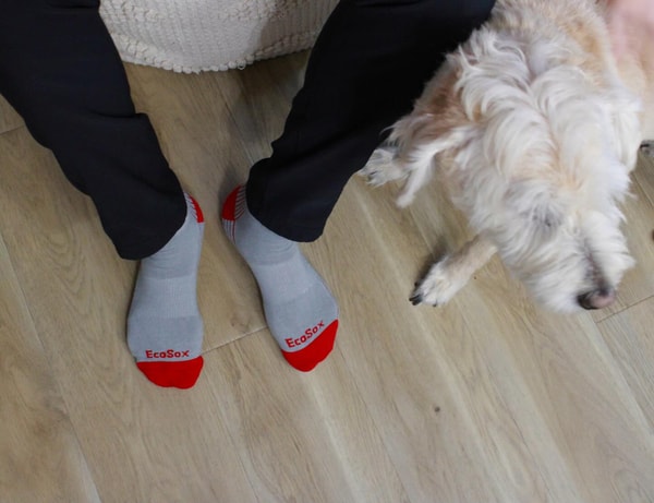 EcoSox Review