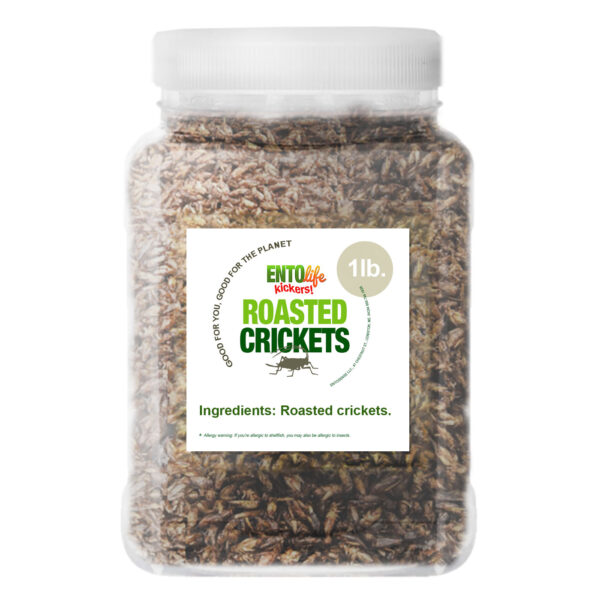 Edible Insects Plain Unflavored Roasted Crickets Review