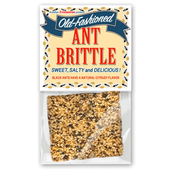 Edible Insects Old Fashioned Ant Brittle Review