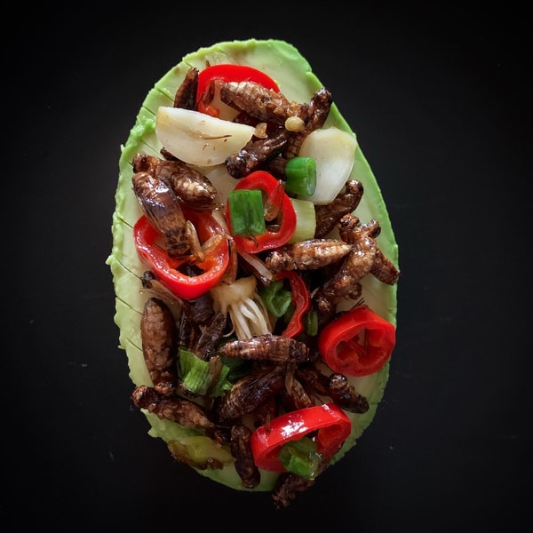 Exploring Edible Insects as Sustainable Protein