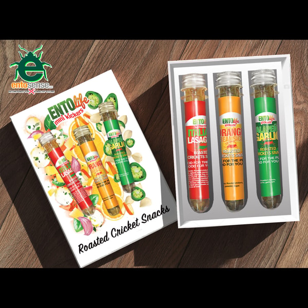Edible Insects Review