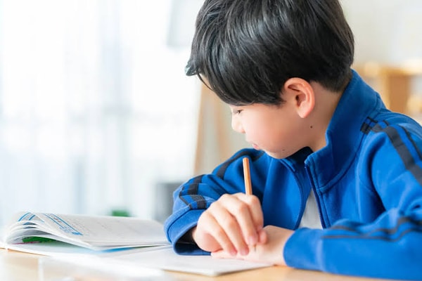Educational Toys 知育玩具名品館レビュー