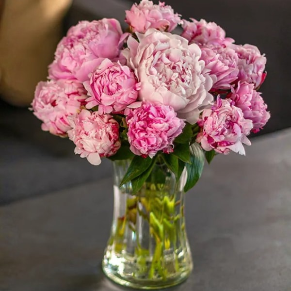 Eflorist Peonies Reviews