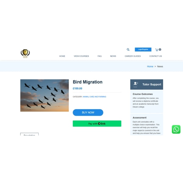 Elearn College Bird Migration Diploma Course Review