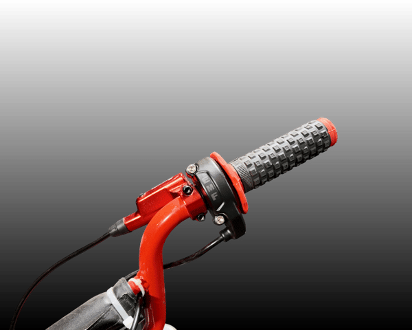 About Electric Moto Family