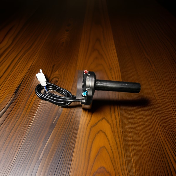 Electric Moto Family Surron Throttle Review