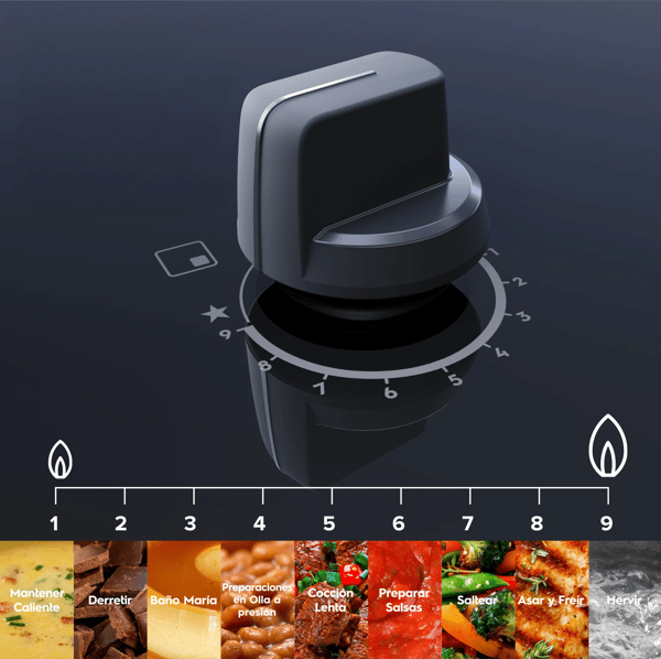 Electrolux Rese&ntilde;a