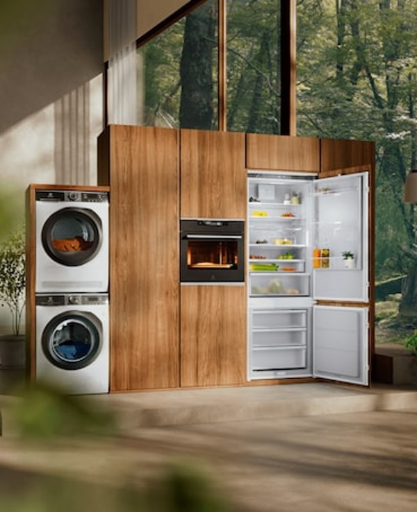 &Icirc;n interiorul Electrolux