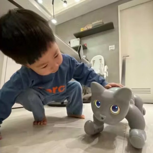 Elephant Robotics Review