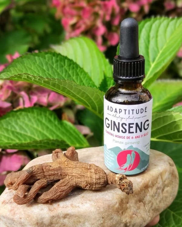Elliotti Rese&ntilde;a