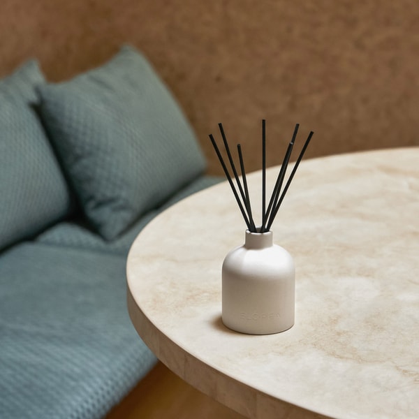 ELOREA BAEKJA Diffuser Review