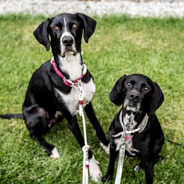 EMMY & PEPE Bewertung