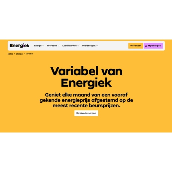 Energiek Variabel energiecontract Beoordeling