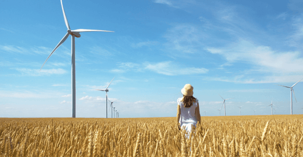 EnergyCoop Review