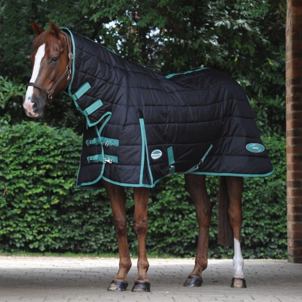 Equine Superstore Weatherbeeta Green-Tec Stable Combo Neck Medium/Lite Reviews