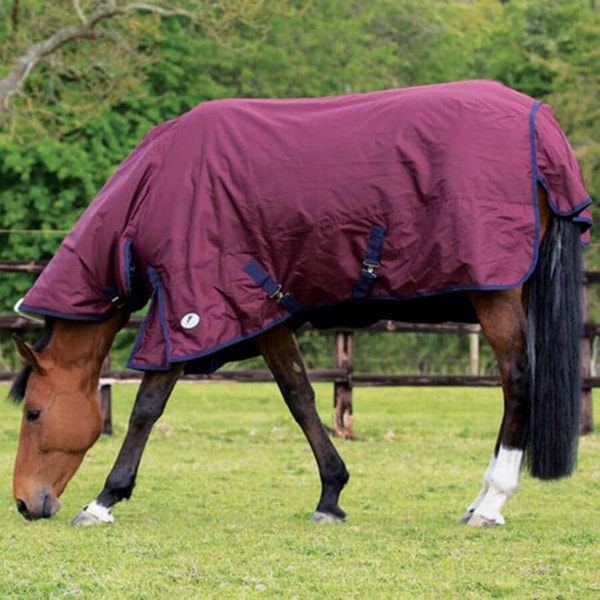 About Equine Superstore