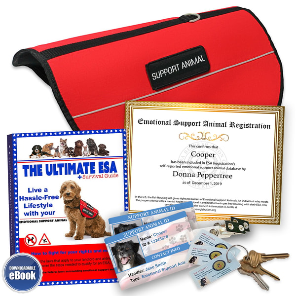 Ultimate ESA Lifetime VIP Kit Review