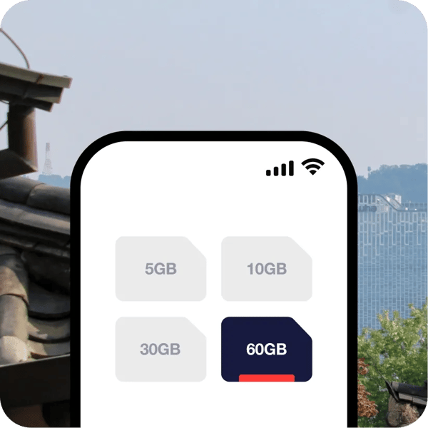 Overview of eSIM Korea