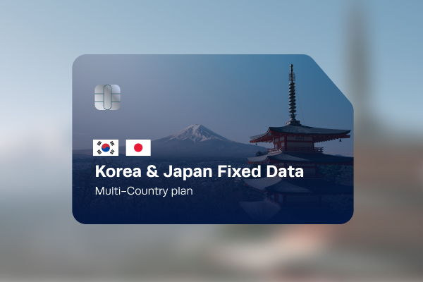 eSIM Korea Review