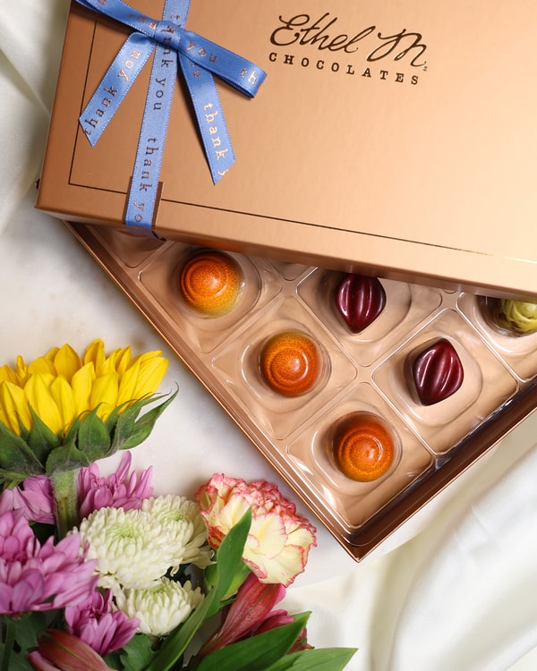 Overview of Ethel M Chocolates