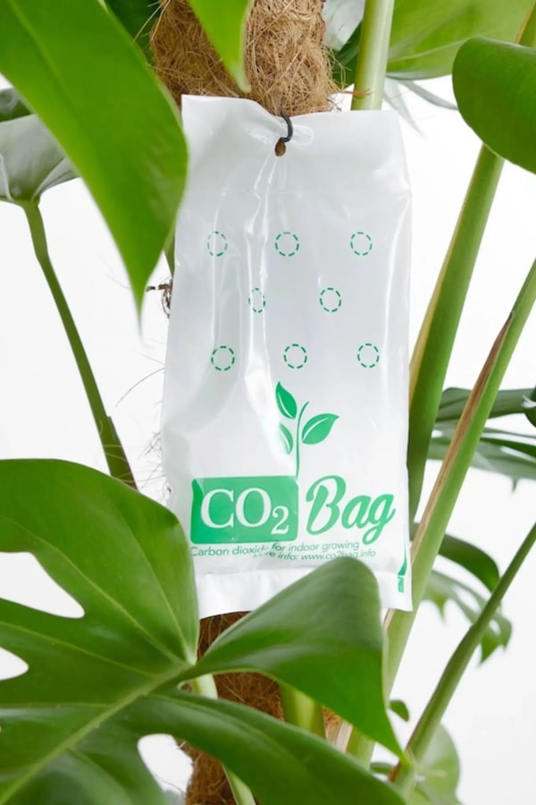 EUGardencenter CO2BAG Review