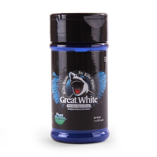 EUGardencenter Great White Review
