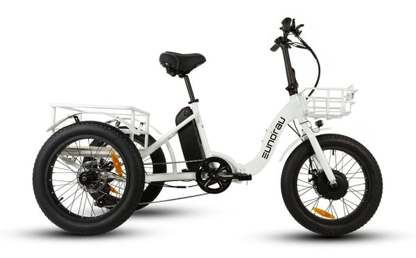 NEW-TRIKE 1.0 Review