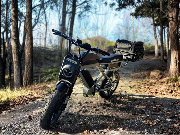 Eunorau Ebike Overview
