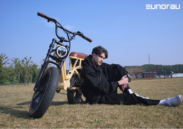 Eunorau Ebike Review
