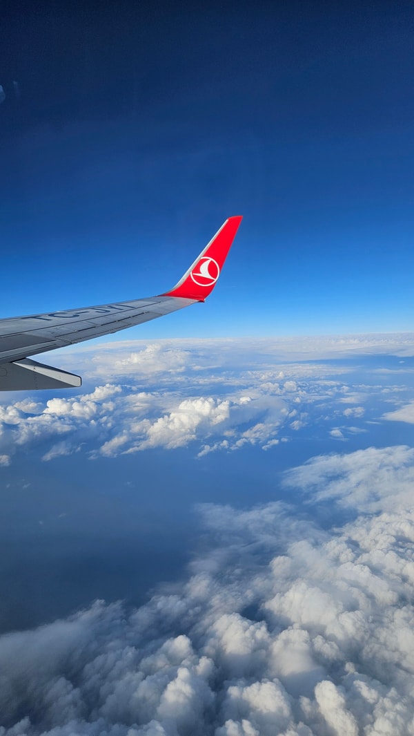 Evago Flights Review