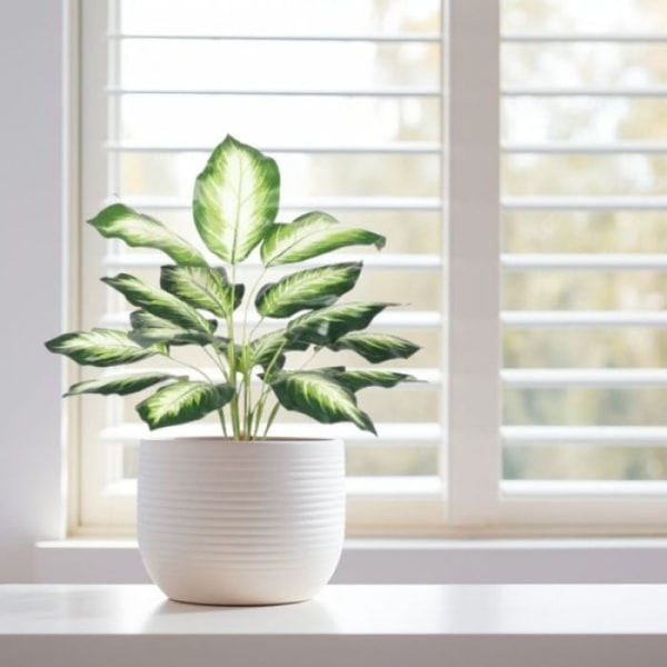 Evergreen Direct Artificial Alocasia Plant Reviews