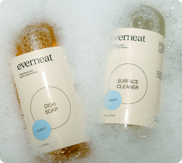 Everneat Review