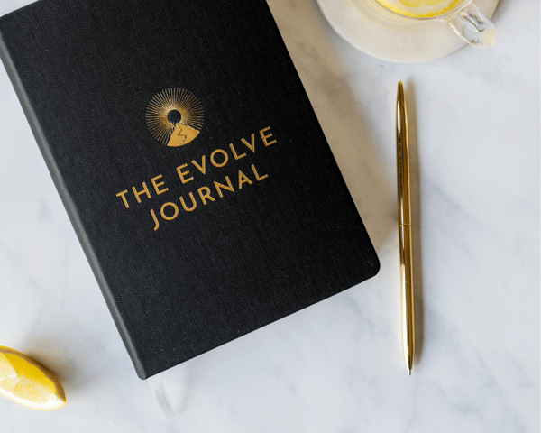 Evolve Journey The Evolve Journal Review