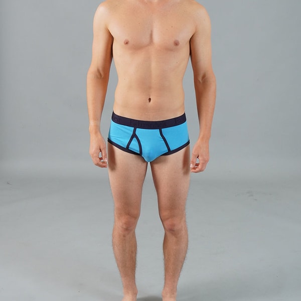 Fahrenheit Wayne Brief Bundle Review