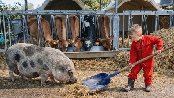 Farmcamps BoeBaDoe Beoordeling